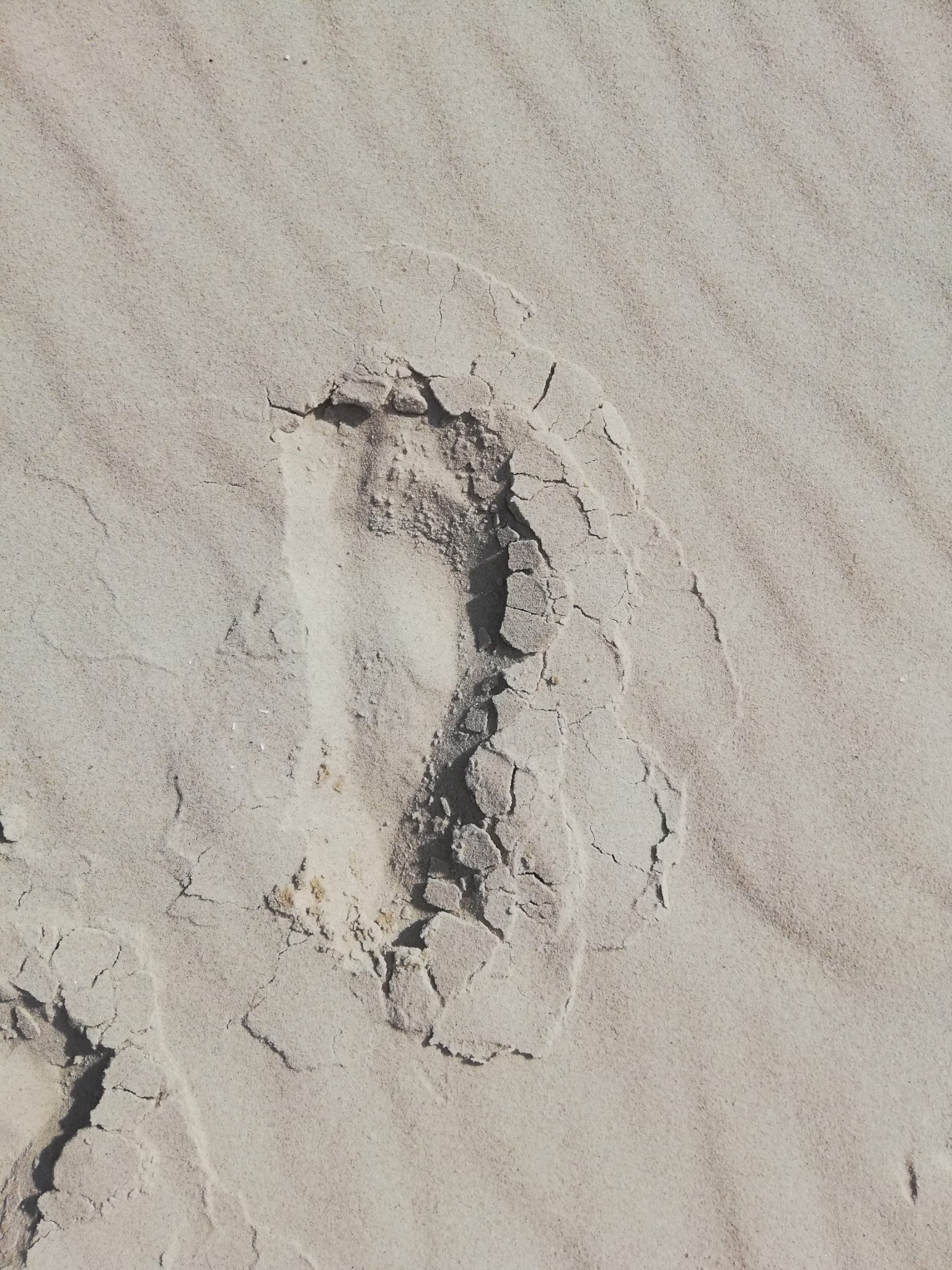 Sandrisse auf Amrum